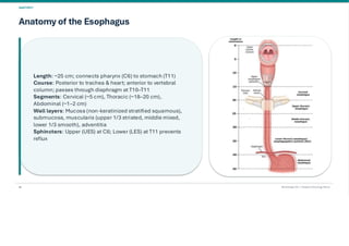 Esophageal Cancer & it's Management. pdf