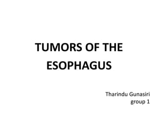 Tharindu Gunasiri
group 1
TUMORS OF THE
ESOPHAGUS
 