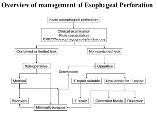 Overview of management of Esophageal Perforation
 