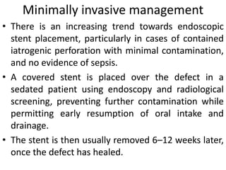 Minimally invasive management
• There is an increasing trend towards endoscopic
stent placement, particularly in cases of contained
iatrogenic perforation with minimal contamination,
and no evidence of sepsis.
• A covered stent is placed over the defect in a
sedated patient using endoscopy and radiological
screening, preventing further contamination while
permitting early resumption of oral intake and
drainage.
• The stent is then usually removed 6–12 weeks later,
once the defect has healed.
 