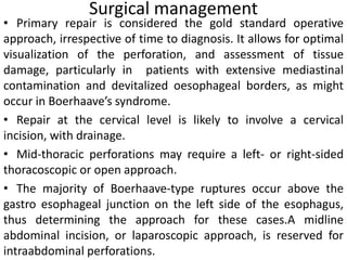 Surgical management
• Primary repair is considered the gold standard operative
approach, irrespective of time to diagnosis. It allows for optimal
visualization of the perforation, and assessment of tissue
damage, particularly in patients with extensive mediastinal
contamination and devitalized oesophageal borders, as might
occur in Boerhaave’s syndrome.
• Repair at the cervical level is likely to involve a cervical
incision, with drainage.
• Mid-thoracic perforations may require a left- or right-sided
thoracoscopic or open approach.
• The majority of Boerhaave-type ruptures occur above the
gastro esophageal junction on the left side of the esophagus,
thus determining the approach for these cases.A midline
abdominal incision, or laparoscopic approach, is reserved for
intraabdominal perforations.
 