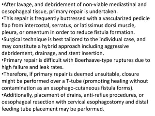 •After lavage, and debridement of non-viable mediastinal and
oesophageal tissue, primary repair is undertaken.
•This repair is frequently buttressed with a vascularized pedicle
flap from intercostal, serratus, or latissimus dorsi muscle,
pleura, or omentum in order to reduce fistula formation.
•Surgical technique is best tailored to the individual case, and
may constitute a hybrid approach including aggressive
debridement, drainage, and stent insertion.
•Primary repair is difficult with Boerhaave-type ruptures due to
high failure and leak rates.
•Therefore, if primary repair is deemed unsuitable, closure
might be performed over a T-tube (promoting healing without
contamination as an esophago-cutaneous fistula forms).
•Additionally, placement of drains, anti-reflux procedures, or
oesophageal resection with cervical esophagostomy and distal
feeding tube placement may be performed.
 