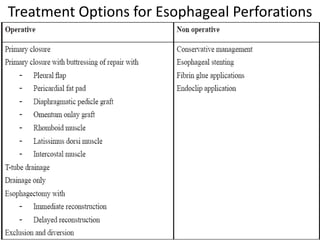 Treatment Options for Esophageal Perforations
 