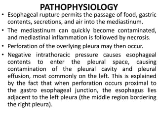 PATHOPHYSIOLOGY
• Esophageal rupture permits the passage of food, gastric
contents, secretions, and air into the mediastinum.
• The mediastinum can quickly become contaminated,
and mediastinal inflammation is followed by necrosis.
• Perforation of the overlying pleura may then occur.
• Negative intrathoracic pressure causes esophageal
contents to enter the pleural space, causing
contamination of the pleural cavity and pleural
effusion, most commonly on the left. This is explained
by the fact that when perforation occurs proximal to
the gastro esophageal junction, the esophagus lies
adjacent to the left pleura (the middle region bordering
the right pleura).
 