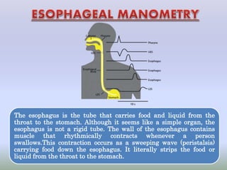 The esophagus is the tube that carries food and liquid from the
throat to the stomach. Although it seems like a simple organ, the
esophagus is not a rigid tube. The wall of the esophagus contains
muscle that rhythmically contracts whenever a person
swallows.This contraction occurs as a sweeping wave (peristalsis)
carrying food down the esophagus. It literally strips the food or
liquid from the throat to the stomach.
 