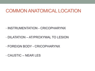 COMMON ANATOMICAL LOCATION
• INSTRUMENTATION - CRICOPHARYNX
• DILATATION – AT/PROXYMAL TO LESION
• FOREIGN BODY - CRICOPHARYNX
• CAUSTIC – NEAR LES
 