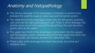 Anatomy and histopathology
 The venous drainage of the esophagus constitutes an anastomosis
between the systemic superior vena cava and the portal system.
 The distal third of the esophagus drains into the left gastric coronary
vein and into the right gastroepiploic vein. There is some drainage into
phrenic veins and a minor part of the blood flows through the short
gastric veins to the spleen.
 The upper two thirds of the esophagus mainly drain into the azygos
and hemiazygos system, whereas blood from the upper end flows into
the subclavian, the thyroid, and the first intercostal veins.
 There is also some drainage into lower intercostal, bronchial and
vertebral veins.
 