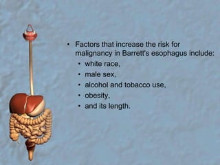 Factors that increase the risk for malignancy in Barrett's esophagus include: white race, male sex, alcohol and tobacco use, obesity, and its length.