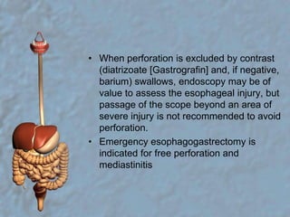 When perforation is excluded by contrast (diatrizoate [Gastrografin] and, if negative, barium) swallows, endoscopy may be of value to assess the esophageal injury, but passage of the scope beyond an area of severe injury is not recommended to avoid perforation.Emergency esophagogastrectomy is indicated for free perforation and mediastinitis