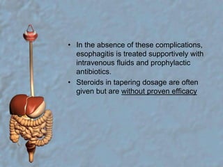 In the absence of these complications, esophagitis is treated supportively with intravenous fluids and prophylactic antibiotics. Steroids in tapering dosage are often given but are without proven efficacy