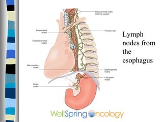Lymph nodes from the esophagus 