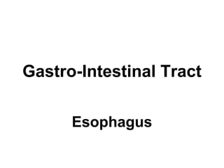 Gastro-Intestinal Tract
Esophagus
 