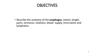 OBJECTIVES
• By the end of this lecture the student should be able to
• Describe the anatomy of the esophagus: extent, length,
parts, strictures, relations, blood supply, innervation and
lymphatics.
2
 