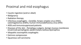 Proximal and mid esophagus
• Caustic ingestion (acid or alkali)
• Malignancy
• Radiation therapy
• Infectious esophagitis - Candida, herpes simplex virus (HSV),
cytomegalovirus (CMV), human immunodeficiency virus (HIV)
• AIDS and immunosuppressed patients
• Diseases of the skin - Pemphigus vulgaris, benign mucous membrane
(cicatricial) pemphigoid, epidermolysis bullosa dystrophica
• Idiopathic eosinophilic esophagitis
• Extrinsic compression
• Squamous cell carcinoma
 