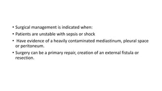 • Surgical management is indicated when:
• Patients are unstable with sepsis or shock
• Have evidence of a heavily contaminated mediastinum, pleural space
or peritoneum.
• Surgery can be a primary repair, creation of an external fistula or
resection.
 