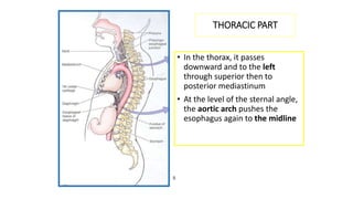 5
THORACIC PART
• In the thorax, it passes
downward and to the left
through superior then to
posterior mediastinum
• At the level of the sternal angle,
the aortic arch pushes the
esophagus again to the midline.
 