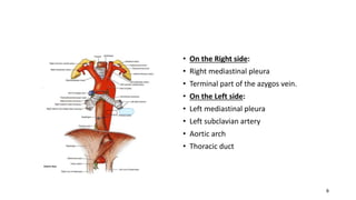 LATERAL RELATION
• On the Right side:
• Right mediastinal pleura
• Terminal part of the azygos vein.
• On the Left side:
• Left mediastinal pleura
• Left subclavian artery
• Aortic arch
• Thoracic duct
8
 