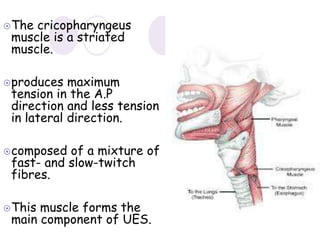 The cricopharyngeus
muscle is a striated
muscle.
produces maximum
tension in the A.P
direction and less tension
in lateral direction.
composed of a mixture of
fast- and slow-twitch
fibres.
This muscle forms the
main component of UES.
 