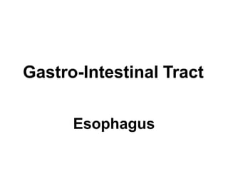 Gastro-Intestinal Tract
Esophagus
 