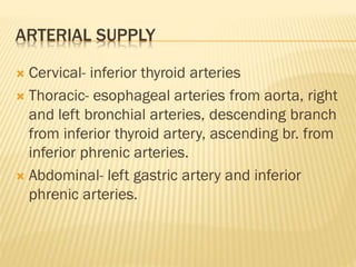 ARTERIAL SUPPLY
 Cervical- inferior thyroid arteries
 Thoracic- esophageal arteries from aorta, right
and left bronchial arteries, descending branch
from inferior thyroid artery, ascending br. from
inferior phrenic arteries.
 Abdominal- left gastric artery and inferior
phrenic arteries.
 