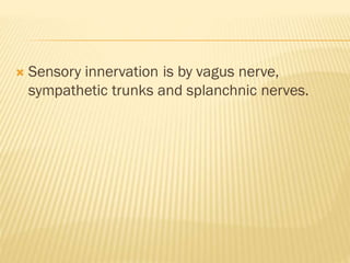  Sensory innervation is by vagus nerve,
sympathetic trunks and splanchnic nerves.
 
