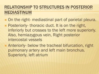 RELATIONSHIP TO STRUCTURES IN POSTERIOR
MEDIASTINUM
 On the right- mediastinal part of parietal pleura.
 Posteriorly- thoracic duct. It is on the right,
inferiorly but crosses to the left more superiorly.
Also, hemiazygous vein, Right posterior
intercostal vessels
 Anteriorly- below the tracheal bifurcation, right
pulmonary artery and left main bronchus.
Superiorly, left atrium
 