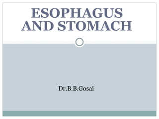 ESOPHAGUS
AND STOMACH
Dr.B.B.Gosai
 