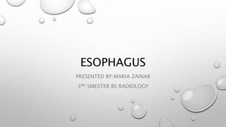 ESOPHAGUS
PRESENTED BY:MARIA ZAINAB
3RD SMESTER BS RADIOLOGY
 