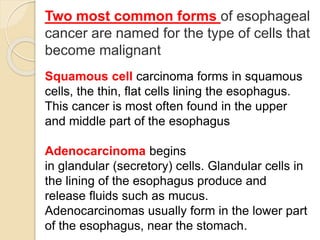 Two most common forms of esophageal 
cancer are named for the type of cells that 
become malignant 
Squamous cell carcinoma forms in squamous 
cells, the thin, flat cells lining the esophagus. 
This cancer is most often found in the upper 
and middle part of the esophagus 
Adenocarcinoma begins 
in glandular (secretory) cells. Glandular cells in 
the lining of the esophagus produce and 
release fluids such as mucus. 
Adenocarcinomas usually form in the lower part 
of the esophagus, near the stomach. 
 