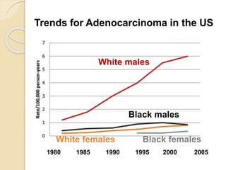 Trends for Adenocarcinoma in the US 
White males 
Black males 
White females Black females 
1980 1985 1990 1995 2000 2005 
 
