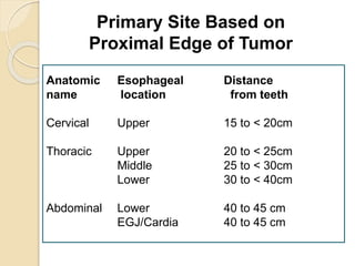 Primary Site Based on 
Proximal Edge of Tumor 
Anatomic Esophageal Distance 
name location from teeth 
Cervical Upper 15 to < 20cm 
Thoracic Upper 20 to < 25cm 
Middle 25 to < 30cm 
Lower 30 to < 40cm 
Abdominal Lower 40 to 45 cm 
EGJ/Cardia 40 to 45 cm 
 