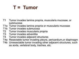 T = Tumor 
 