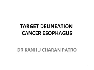 TARGET DELINEATION
CANCER ESOPHAGUS
DR KANHU CHARAN PATRO
1
 