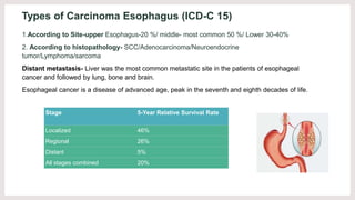 Types of Carcinoma Esophagus (ICD-C 15)
1.According to Site-upper Esophagus-20 %/ middle- most common 50 %/ Lower 30-40%
2...