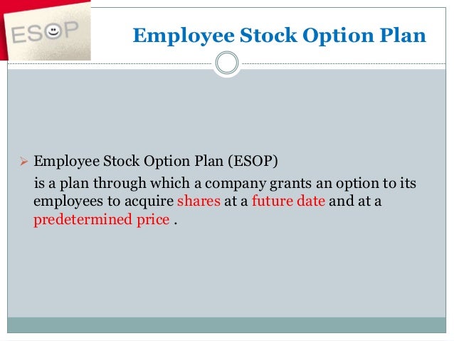 stock options employee motivation