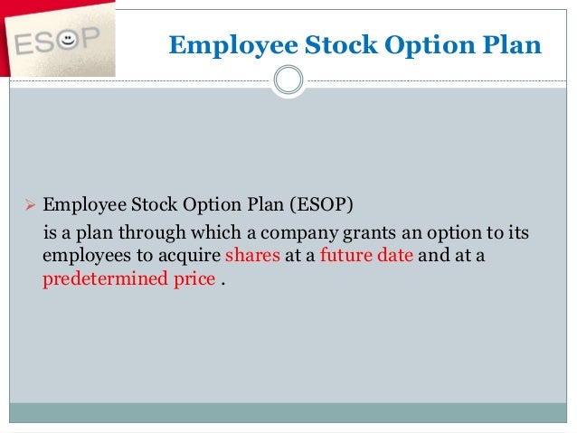 Stock options granted to employees