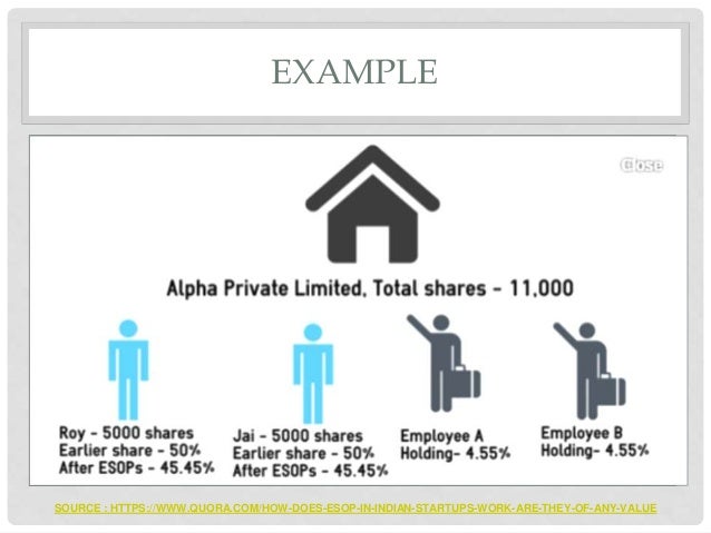 Employee stock options startup
