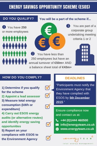 ESOS Summary Info-graphic