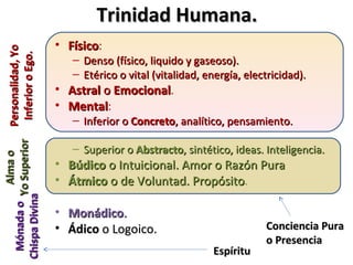 Trinidad Humana.
                                         • Físico:
                                           Físico
 Mónada o Yo Superior Personalidad, Yo
                       Inferior o Ego.

                                            –   Denso (físico, liquido y gaseoso).
                                            –   Etérico o vital (vitalidad, energía, electricidad).
                                         • Astral o Emocional.
                                                    Emocional
                                         • Mental:
                                           Mental
                                            – Inferior o Concreto, analítico, pensamiento.

                                            – Superior o Abstracto, sintético, ideas. Inteligencia.
              Alma o




                                         • Búdico o Intuicional. Amor o Razón Pura
                                         • Átmico o de Voluntad. Propósito.
                                                                  Propósito
Chispa Divina




                                         • Monádico.
                                         • Ádico o Logoico.                              Conciencia Pura
                                                                                         o Presencia
                                                                             Espíritu
 