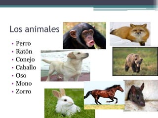 Los animales
• Perro
• Ratón
• Conejo
• Caballo
• Oso
• Mono
• Zorro
 