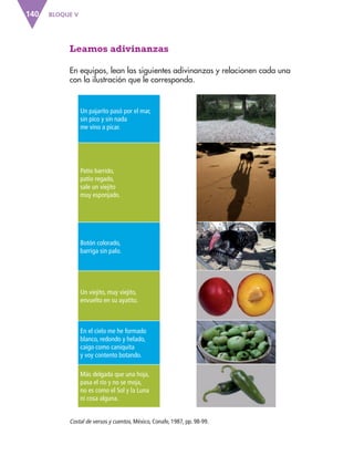 BLOQUE V
140
Leamos adivinanzas
En equipos, lean las siguientes adivinanzas y relacionen cada una
con la ilustración que le corresponda.
Costal de versos y cuentos, México, Conafe, 1987, pp. 98-99.
Un pajarito pasó por el mar,
sin pico y sin nada
me vino a picar.
Patio barrido,
patio regado,
sale un viejito
muy esponjado.
Botón colorado,
barriga sin palo.
Un viejito, muy viejito,
envuelto en su ayatito.
En el cielo me he formado
blanco, redondo y helado,
caigo como caniquita
y voy contento botando.
Más delgada que una hoja,
pasa el río y no se moja,
no es como el Sol y la Luna
ni cosa alguna.
ESP-3-P-001-160.indd 140 19/08/15 12:08
 