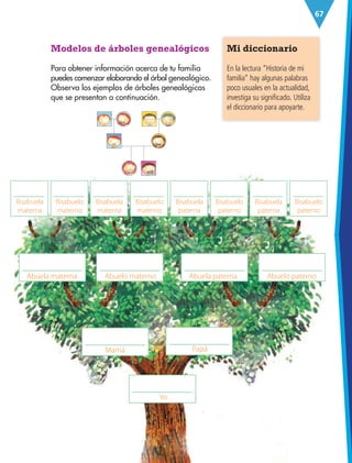 67
Modelos de árboles genealógicos
Para obtener información acerca de tu familia
puedes comenzar elaborando el árbol genealógico.
Observa los ejemplos de árboles genealógicos
que se presentan a continuación.
Mi diccionario
En la lectura “Historia de mi
familia” hay algunas palabras
poco usuales en la actualidad,
investiga su significado. Utiliza
el diccionario para apoyarte.
Yo
Mamá Papá
Abuela materna
Bisabuela
materna
Bisabuela
materna
Bisabuela
paterna
Bisabuela
paterna
Bisabuelo
materno
Bisabuelo
materno
Bisabuelo
paterno
Bisabuelo
paterno
Abuela paterna
Abuelo materno Abuelo paterno
ESP-3-P-001-160.indd 67 19/08/15 12:07
 