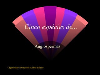 Cinco espécies de... Angiospermas Organização : Professora Andréa Barreto 