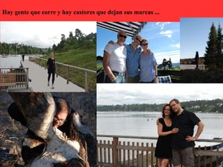 Hay gente que corre y hay castores que dejan sus marcas ...
 