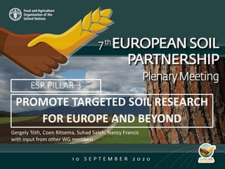 PROMOTE TARGETED SOIL RESEARCH
FOR EUROPE AND BEYOND
ESP PILLAR 3
Gergely Tóth, Coen Ritsema, Suhad Saleh, Nancy Francis
with input from other WG members
 