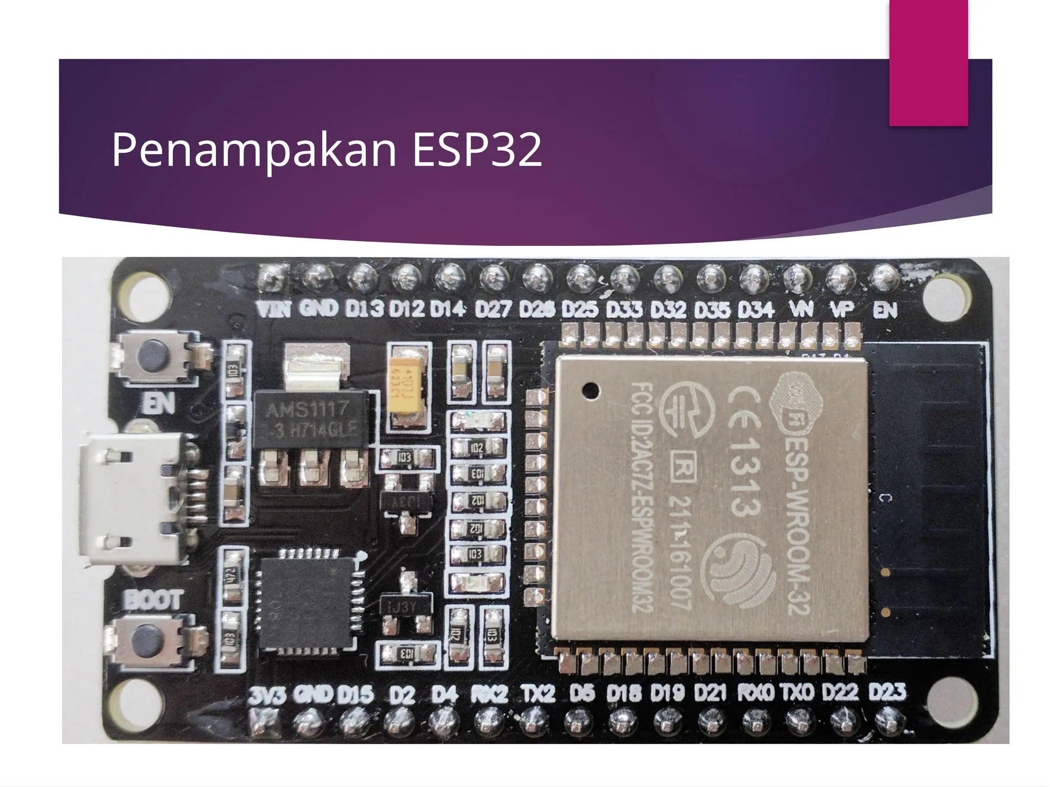 Penampakan ESP32
 