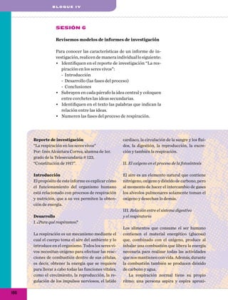 BLOQUE IV

Sesión 6
Revisemos modelos de informes de investigación
Para conocer las características de un informe de investigación, realicen de manera individual lo siguiente:
•	 Identifiquen en el reporte de investigación “La respiración en los seres vivos”:
-- Introducción
-- Desarrollo (las fases del proceso)
-- Conclusiones
•	 Subrayen en cada párrafo la idea central y coloquen
entre corchetes las ideas secundarias.
•	 Identifiquen en el texto las palabras que indican la
relación entre las ideas.
•	 Numeren las fases del proceso de respiración.

Reporte de investigación
“La respiración en los seres vivos”
Por: Inés Alcántara Correa, alumna de 1er.
grado de la Telesecundaria # 123,
“Constitución de 1917”.

cardiaco, la circulación de la sangre y los fluidos, la digestión, la reproducción, la excreción y también la respiración.

Introducción
El propósito de este informe es explicar cómo
el funcionamiento del organismo humano
está relacionado con procesos de respiración
y nutrición, que a su vez permiten la obtención de energía.

El aire es un elemento natural que contiene
nitrógeno, oxígeno y dióxido de carbono, pero
al momento de hacer el intercambio de gases
los alveolos pulmonares solamente toman el
oxígeno y desechan lo demás.

Desarrollo
I. ¿Para qué respiramos?
La respiración es un mecanismo mediante el
cual el cuerpo toma el aire del ambiente y lo
introduce en el organismo. Todos los seres vivos necesitan oxígeno para efectuar las reacciones de combustión dentro de sus células,
es decir, obtener la energía que se requiere
para llevar a cabo todas las funciones vitales,
como el crecimiento, la reproducción, la regulación de los impulsos nerviosos, el latido

186

II. El oxígeno en el proceso de la fotosíntesis

III. Relación entre el sistema digestivo
y el respiratorio
Los alimentos que consume el ser humano
contienen el material energético (glucosa)
que, combinado con el oxígeno, produce al
inhalar una combustión que libera la energía
necesaria para realizar todas las actividades
que nos mantienen con vida. Además, durante
la combustión también se producen dióxido
de carbono y agua.
La respiración normal tiene su propio
ritmo; una persona aspira y espira aproxi-

 