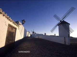 SARDINERO 