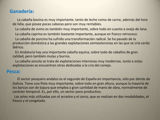 Ganadería:La cabaña bovina es muy importante, tanto de leche como de carne, además del toro de lidia, que posee pocas cabezas pero son muy rentables.          La cabaña de ovino es también muy importante, sobre todo en cuanto a oveja de lana.          La cabaña caprina es también bastante importante, aunque en franco retroceso.           La cabaña de porcino ha sufrido una transformación radical. Se ha pasado de la producción doméstica a las grandes explotaciones semiextensivas en las que se cría cerdo ibérico.          En Andalucía hay una importante cabaña equina, sobre todo de caballos de gran calidad, pero también mulas y burros.           La cabaña avícola se trata de explotaciones intensivas muy modernas. Junto a estas explotaciones se encuentran otras dedicadas a la cría del conejo. Pesca:El sector pesquero andaluz es el segundo de España en importancia, sólo por detrás de Galicia. Tiene una flota muy importante, sobre todo en gran altura, aunque la mayoría de los barcos son de bajura que emplea a gran cantidad de mano de obra, normalmente de carácter temporal. Es, por ello, un sector poco productivo.         Las artes más utilizadas son el arrastre y el cerco, que se realizan en dos modalidades, el fresco y el congelado. 