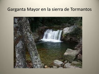 Sistemas montañososAl norte de la comunidad se alzan las sierras del Sistema Central, con la Sierra de Gredos, Sierra de Béjar donde Extremadura alcanza su mayor altitud en el Calvitero con 2401 m y la Sierra de Gata que la separan de la meseta norte castellana.En el centro encontramos, de este a oeste, la Sierra de las Villuercas, la Sierra de Montánchez y la Sierra de San Pedro, que forman parte de los Montes de ToledoAl sur se eleva Sierra Morena que separa Extremadura de Andalucía.